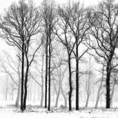 8542144c6845bd098ddfc5c3e0b5a319