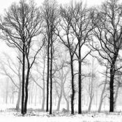 8542144c6845bd098ddfc5c3e0b5a319