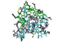 2GF1_Insulin-Like_Growth_Factor_Nmr_Minimum_Average_Structure01
