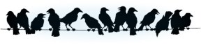 crows03