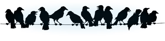 crows03