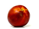 Nectarine-1
