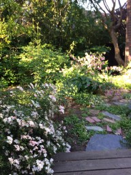 Yard May 20