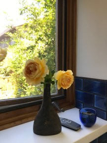 Yellow Roses